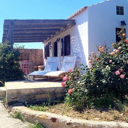 The Pigeon House Villa Potamos  Buitenkant foto