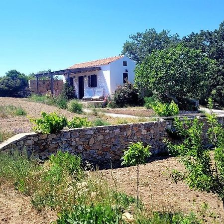 The Pigeon House Villa Potamos  Buitenkant foto