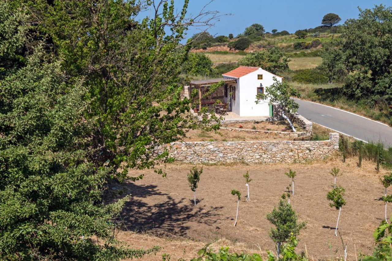 The Pigeon House Villa Potamos  Buitenkant foto