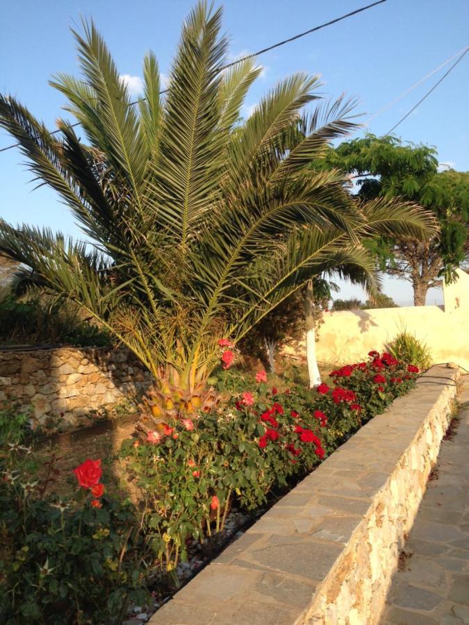 The Pigeon House Villa Potamos  Buitenkant foto