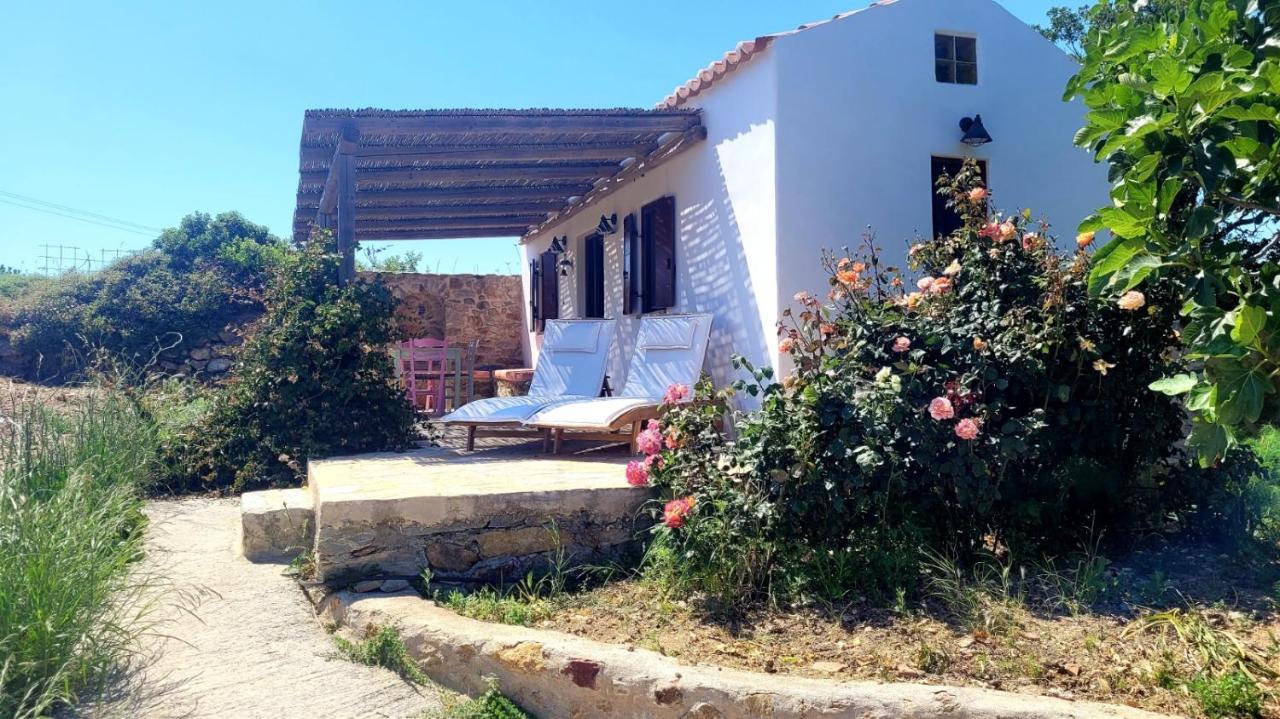 The Pigeon House Villa Potamos  Buitenkant foto