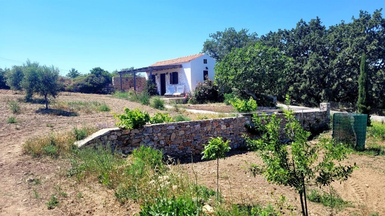 The Pigeon House Villa Potamos  Buitenkant foto
